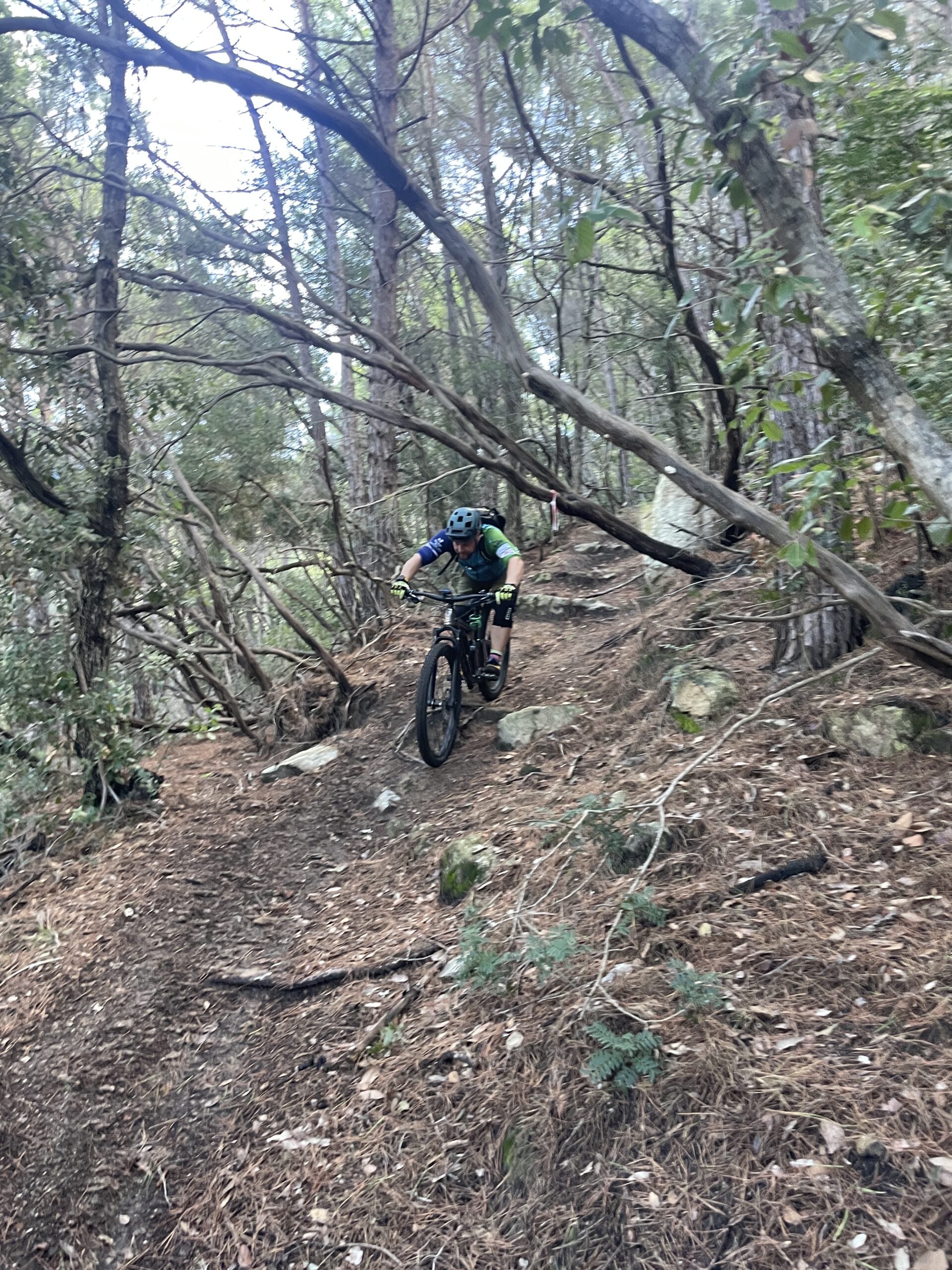 MTB & Segeln auf Elba: Die perfekte Bike & Sail Abenteuerreise