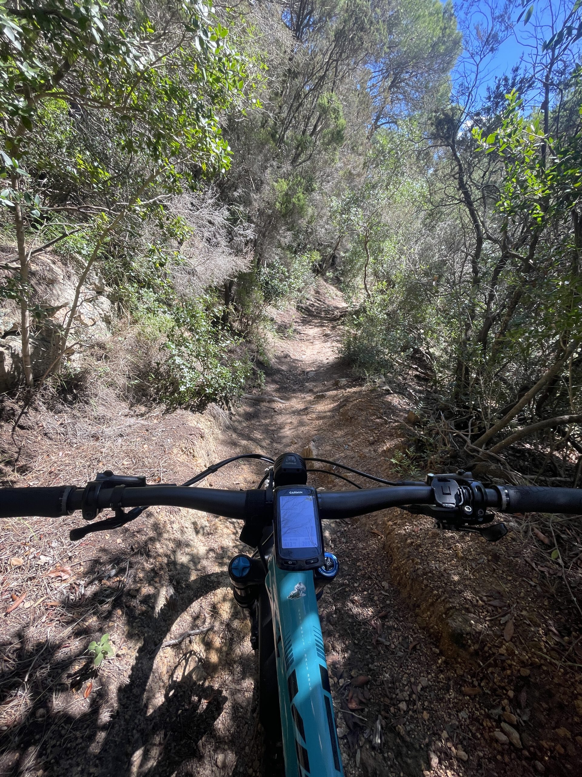 MTB & Segeln auf Elba: Die perfekte Bike & Sail Abenteuerreise