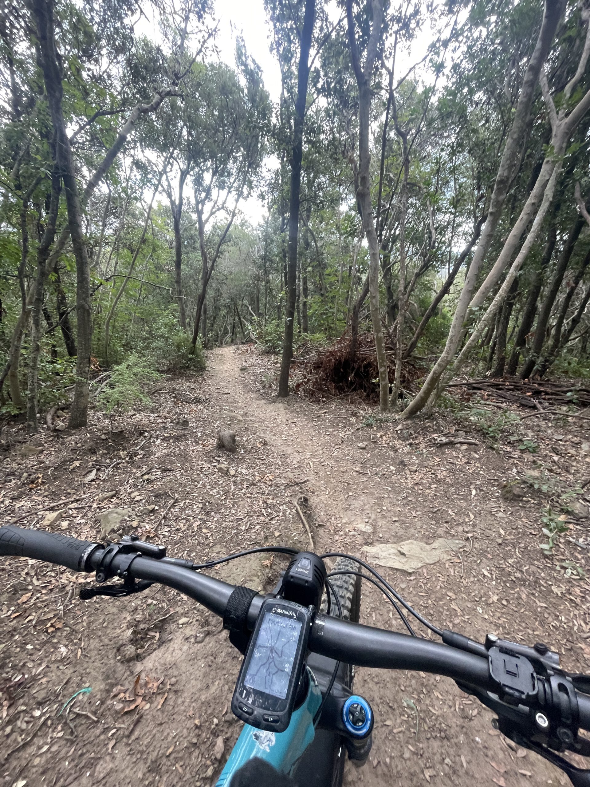 MTB & Segeln auf Elba: Die perfekte Bike & Sail Abenteuerreise