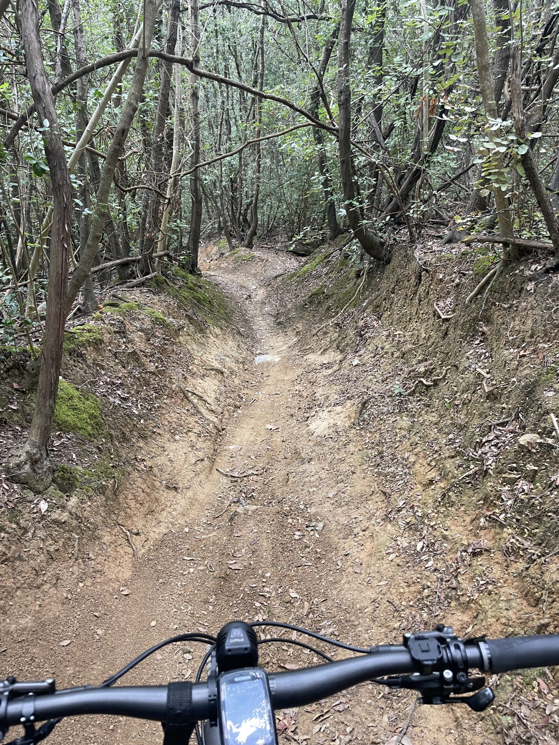 Mountainbike und Segeln auf Elba - 7 Tage Abenteuer Trails 