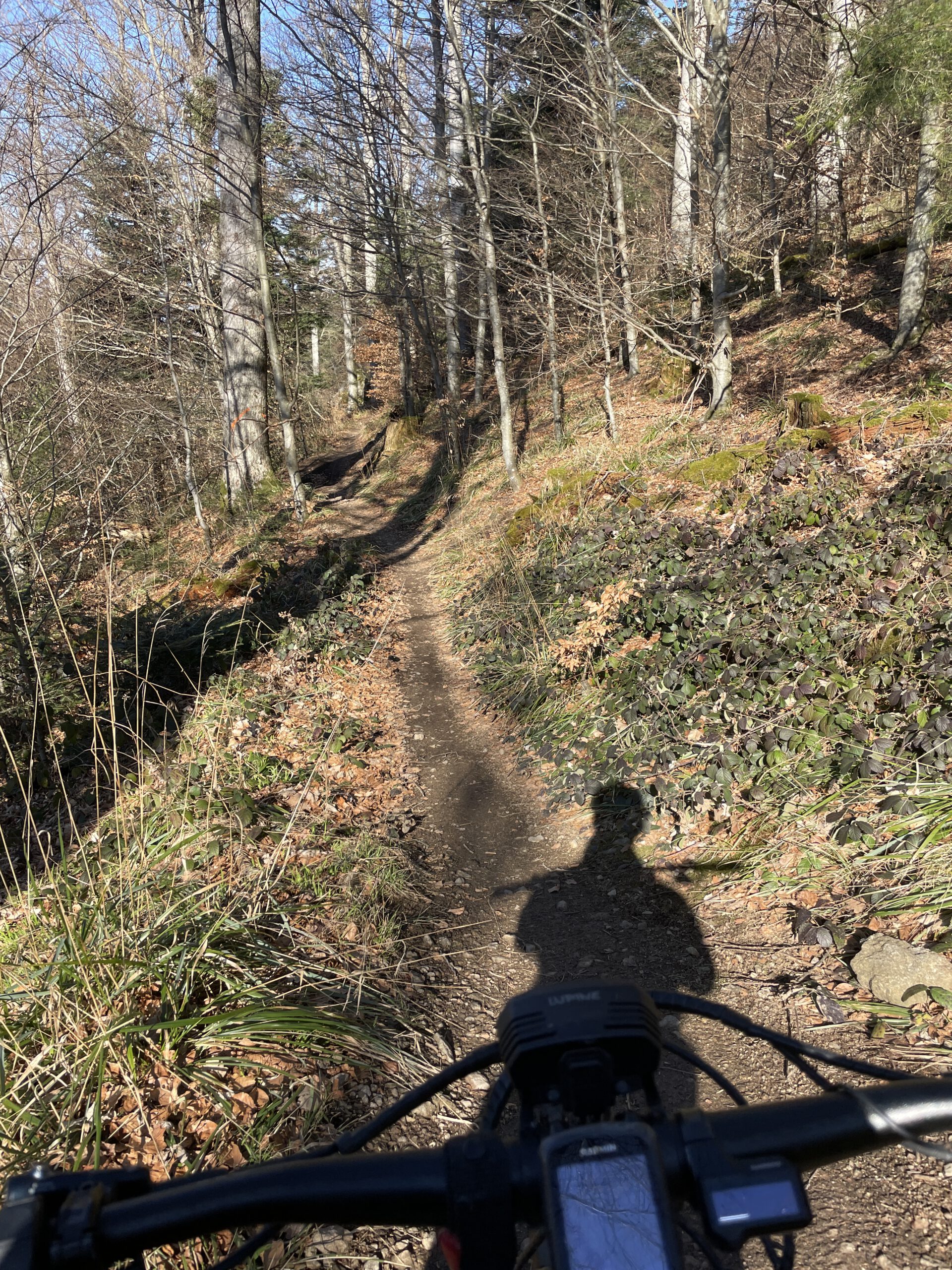 Freiburg das Mountainbike-Paradies Trail voraus 