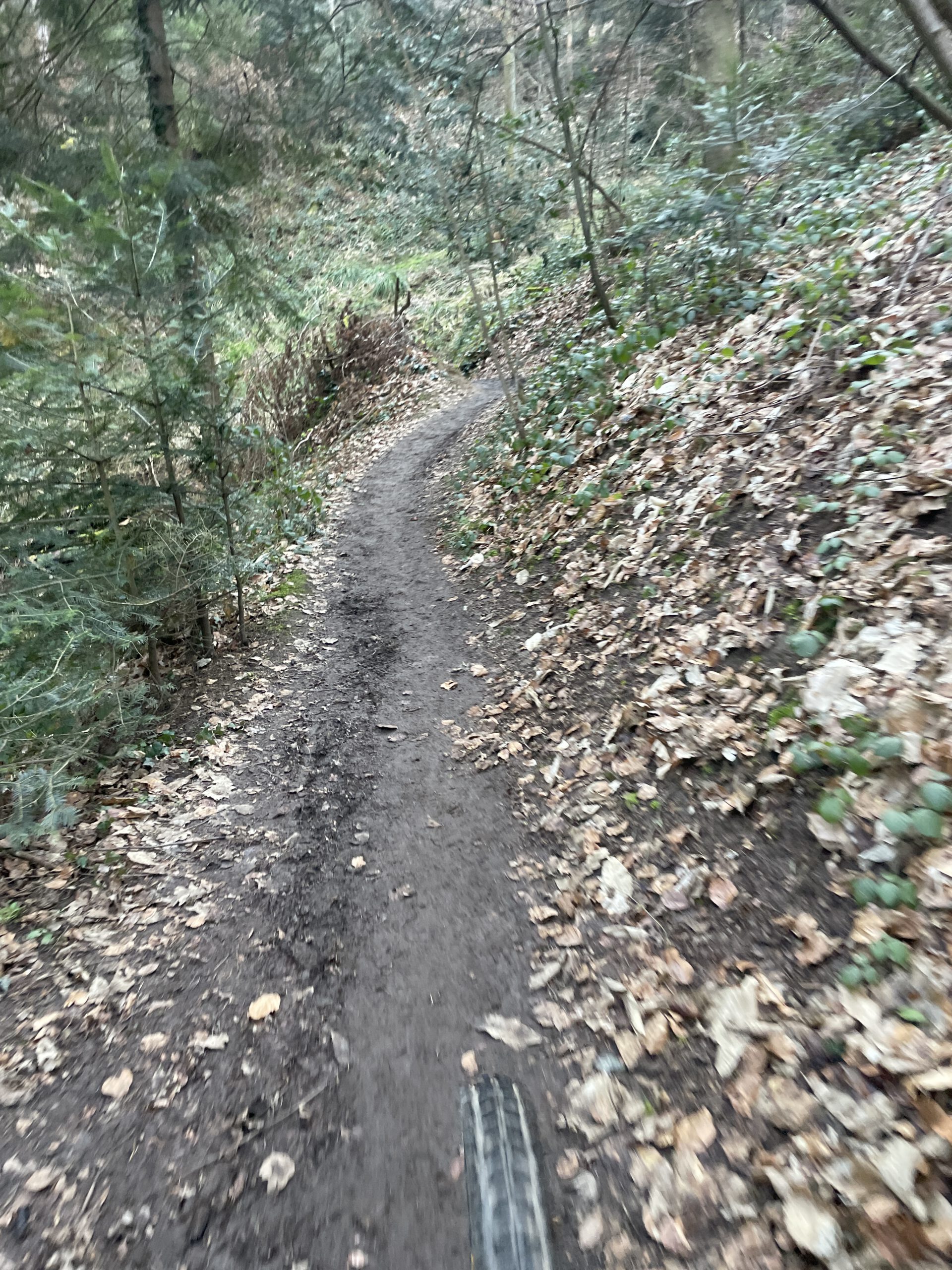 Freiburg das Mountainbike-Paradies