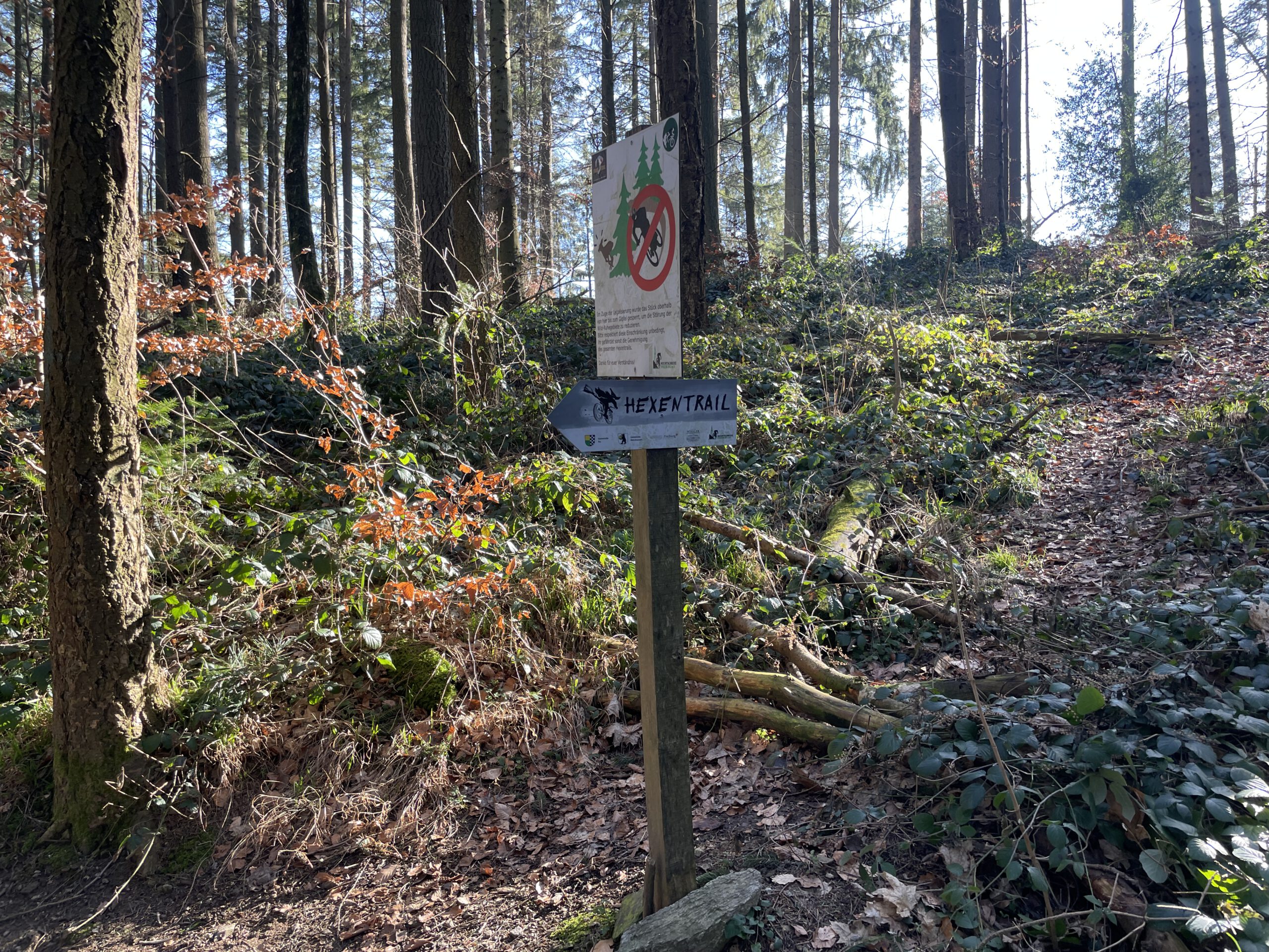 Freiburg das Mountainbike-Paradies Hexentrail